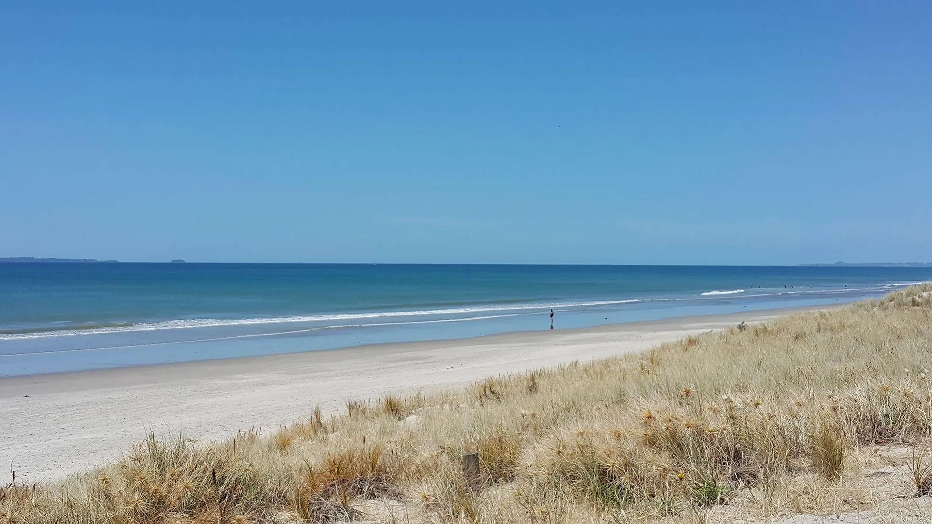 ****  Bay Palm Motel Mount Maunganui New Zealand