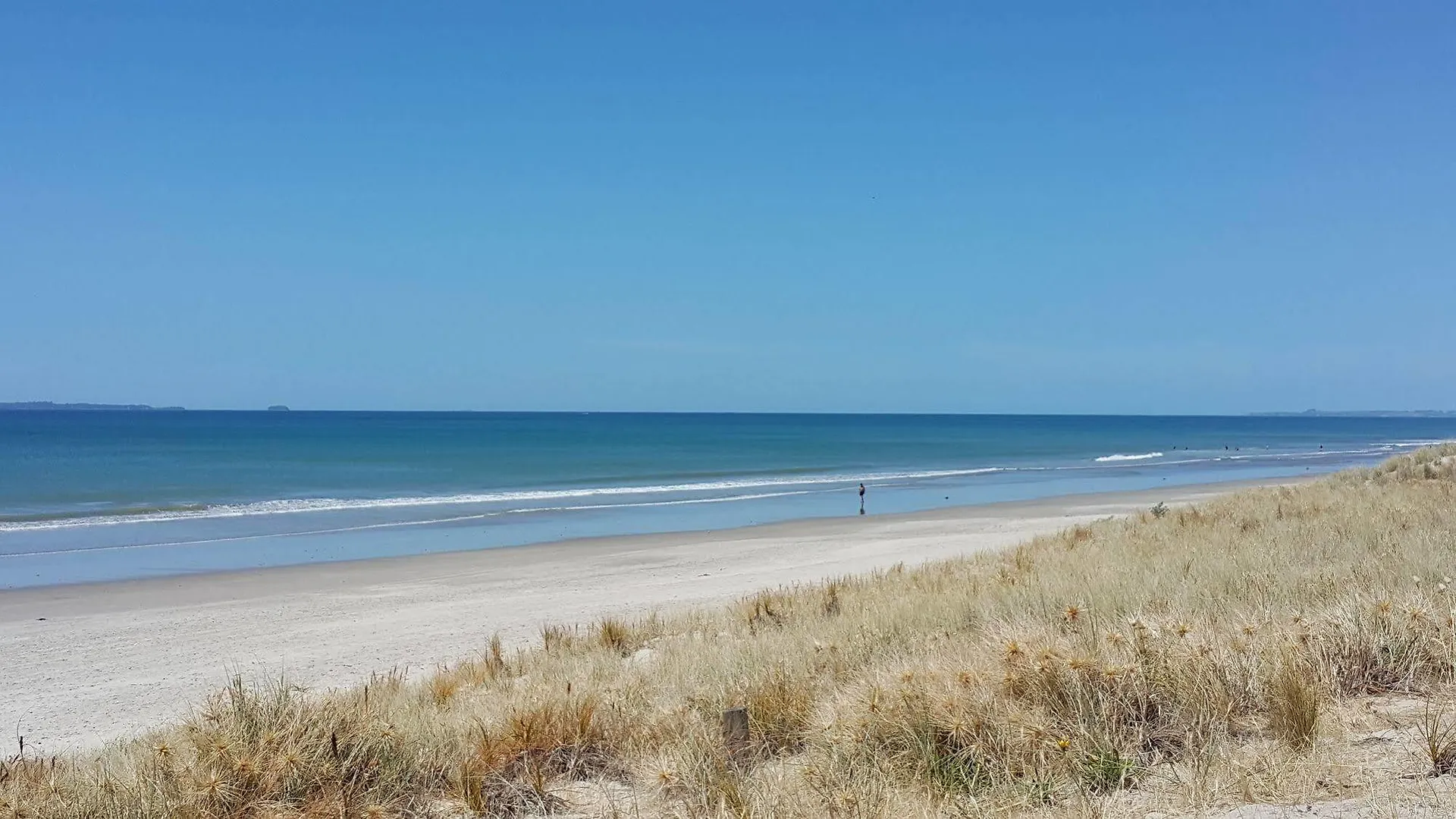 ****  Bay Palm Motel Mount Maunganui New Zealand