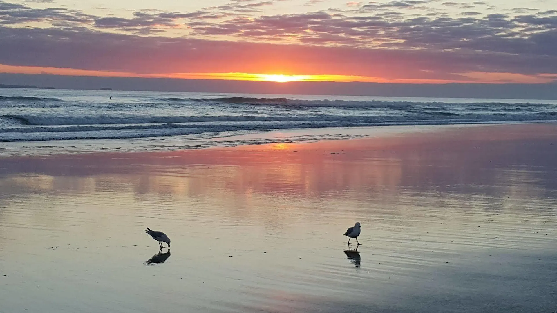 Bay Palm Motel Mount Maunganui